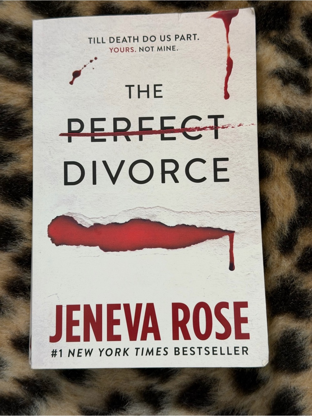 The Perfect Divorce
